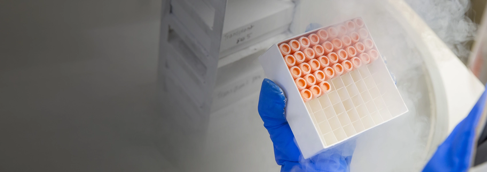 Individual with latex gloves using a scientific device in a lab